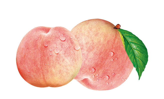 水蜜桃 夏日水果中的甜美之选