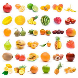 种西瓜素材免费下载 千图网水果模板资源全解析