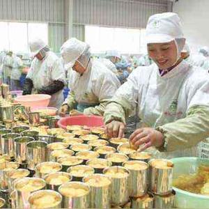 富强食品加工厂 助力水果产业新飞跃，抖音热搜背后的匠心坚守